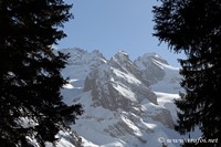 Trafoi, 25.02.2021 - Nikon D500 ob.80-400, 85 mm F/7.1 iso 100 1/800 sec.