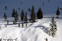 Trafoi, 25.02.2021 - Nikon D500 ob.80-400, 80 mm F/7.1 iso 100 1/640 sec.
