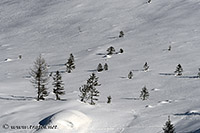 Trafoi, 25.02.2021 - Nikon D500 ob.80-400, 135 mm F/7.1 iso 100 1/1600 sec.