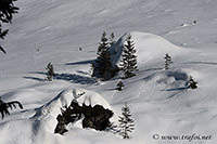 Trafoi, 25.02.2021 - Nikon D500 ob.80-400, 112 mm F/7.1 iso 100 1/1250 sec.