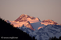 Trafoi (Palla Bianca), 28.02.2021 - Nikon D500 ob.80-400, 400 mm F/6.3 iso 900 1/640 sec.