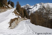 Trafoi - Passo Stelvio, 06.03.2022 - Nikon D500 ob.500 PF, 500 mm F/9 iso 100 1/640 sec.