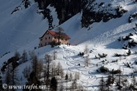 Trafoi - Rifugio Borletti, 06.03.2022 - Nikon D500 ob.500 PF, 500 mm F/6.3 iso 100 1/1250 sec.
