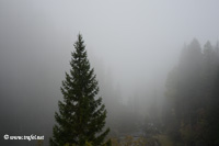 Trafoi, 03.10.2013 - Nikon D7000 ob.18-70, 35 mm F/4.2 iso 280 1/80 sec.