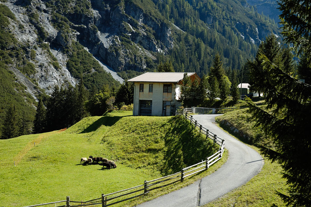 ../Autunno-Inverno/1438.jpg