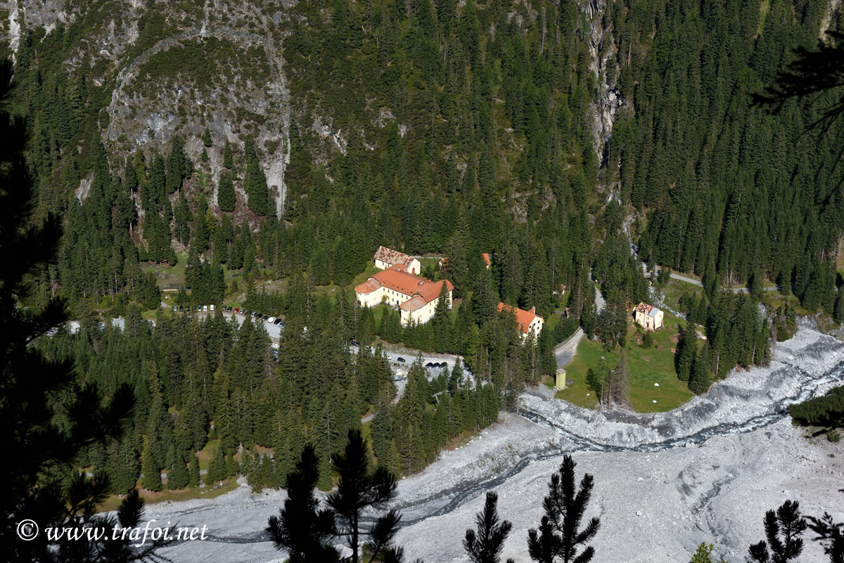 ../Escursioni2/Borletti_Rododendro/23970bis.jpg