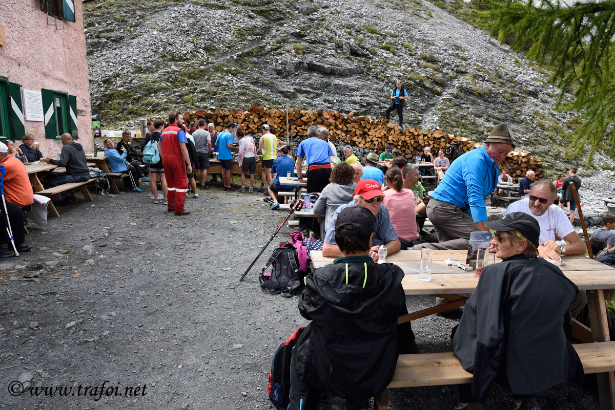 ../Escursioni2/Borletti_Rododendro/23990bis.jpg