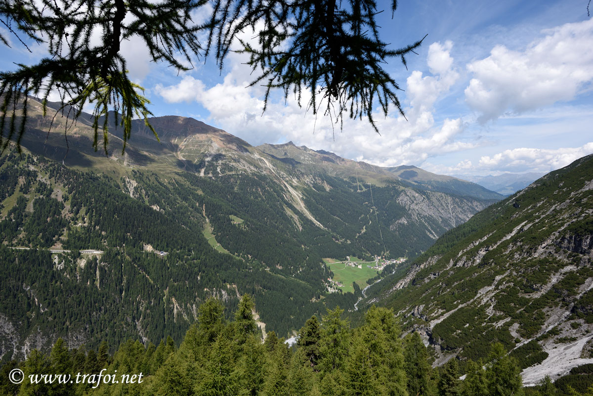 ../Escursioni2/Borletti_Rododendro/23994bis.jpg