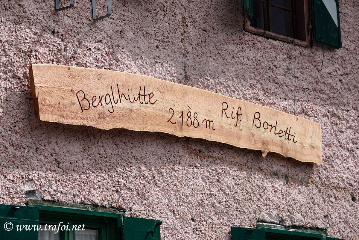 ../Escursioni2/Borletti_Rododendro/24153bis.jpg
