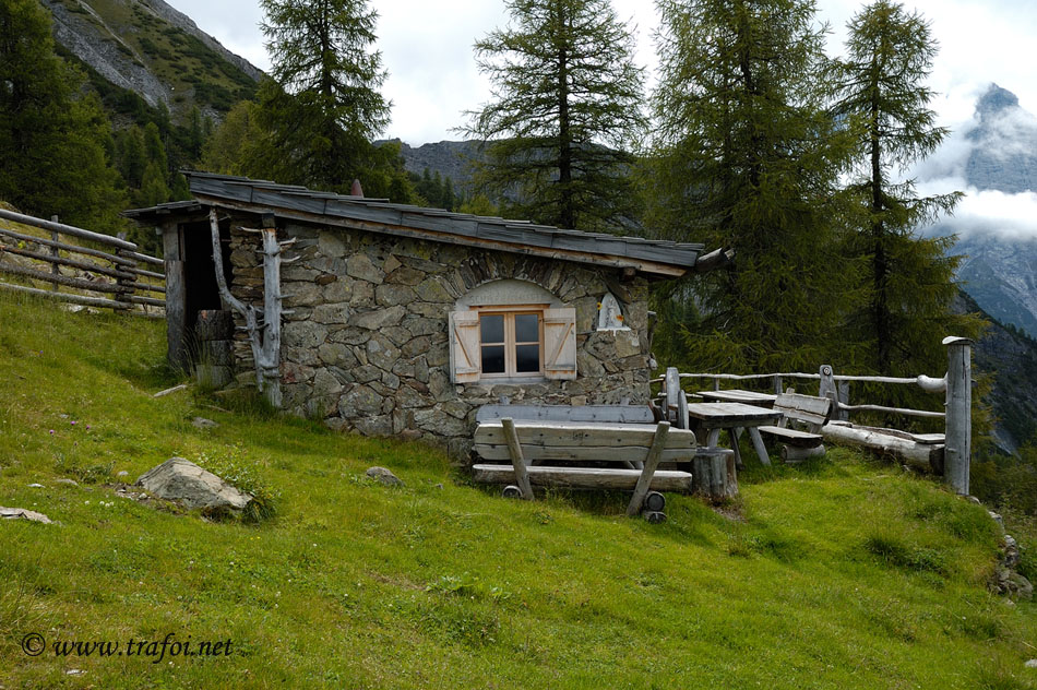 ../Escursioni2/Borletti_Rododendro/3479.jpg