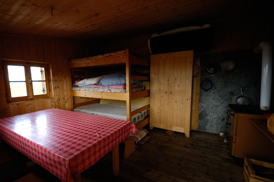 ../Escursioni2/Borletti_Rododendro/3483.jpg