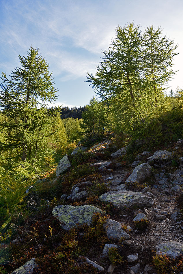 ../Escursioni2/Laghi_Covolo/Covolo_006207.jpg