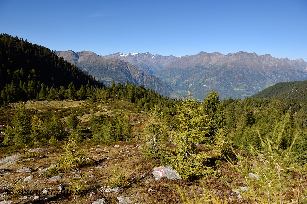 ../Escursioni2/Laghi_Covolo/Covolo_006393.jpg