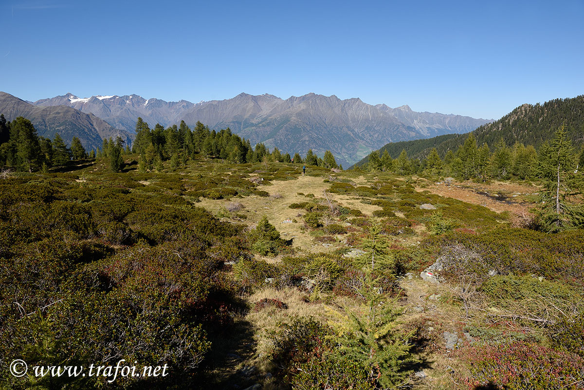 ../Escursioni2/Laghi_Covolo/Covolo_006397.jpg