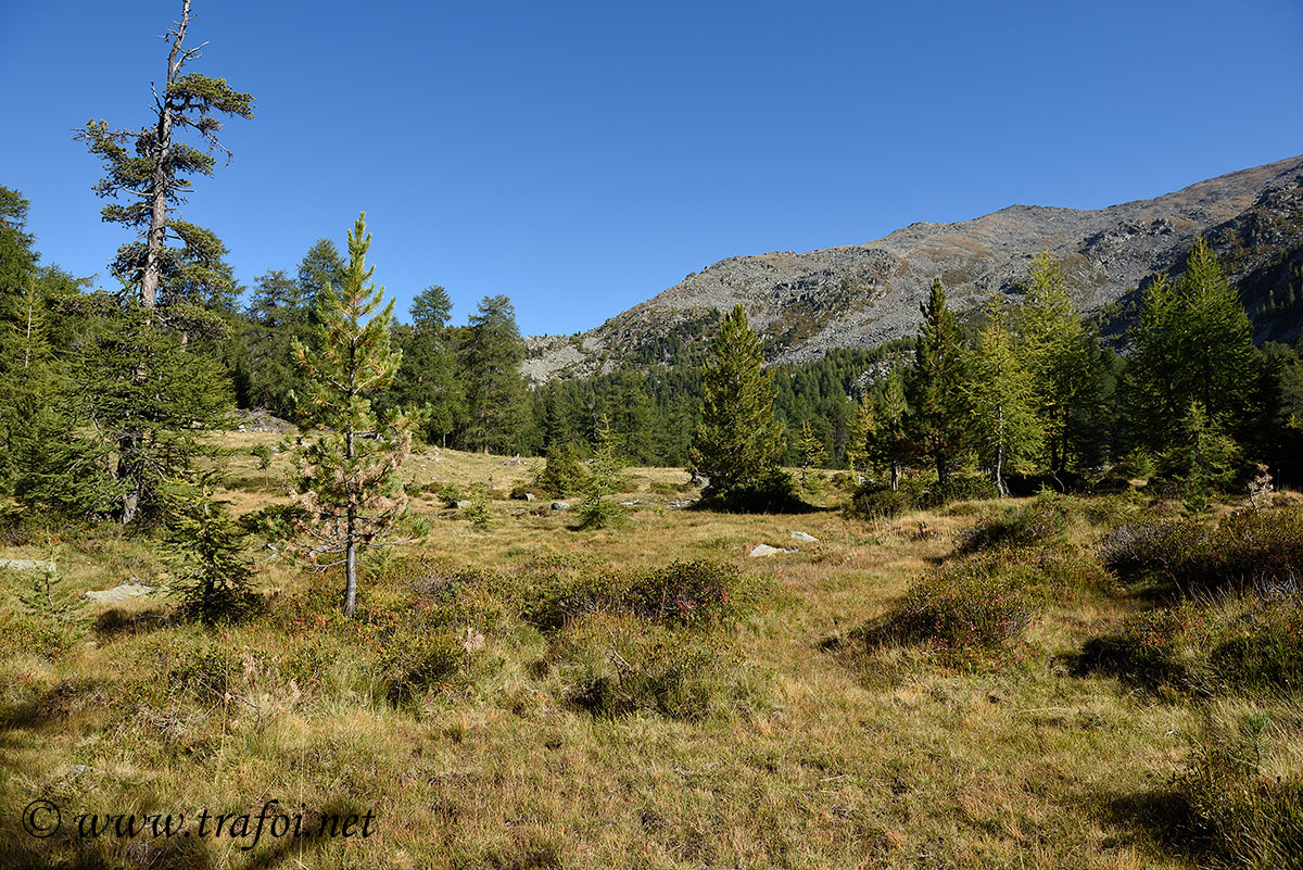 ../Escursioni2/Laghi_Covolo/Covolo_006401.jpg