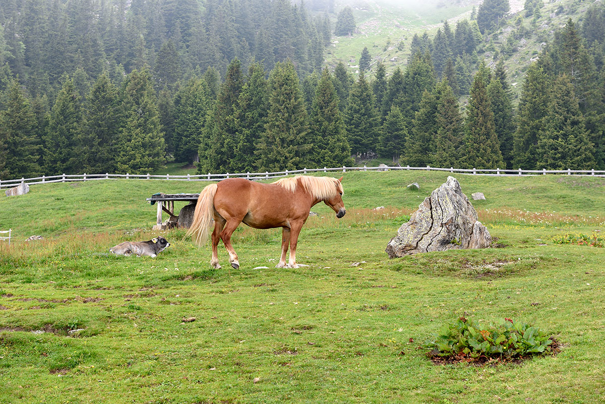 ../Escursioni2/Laghi_Sopranes/Sopranes_002894.jpg