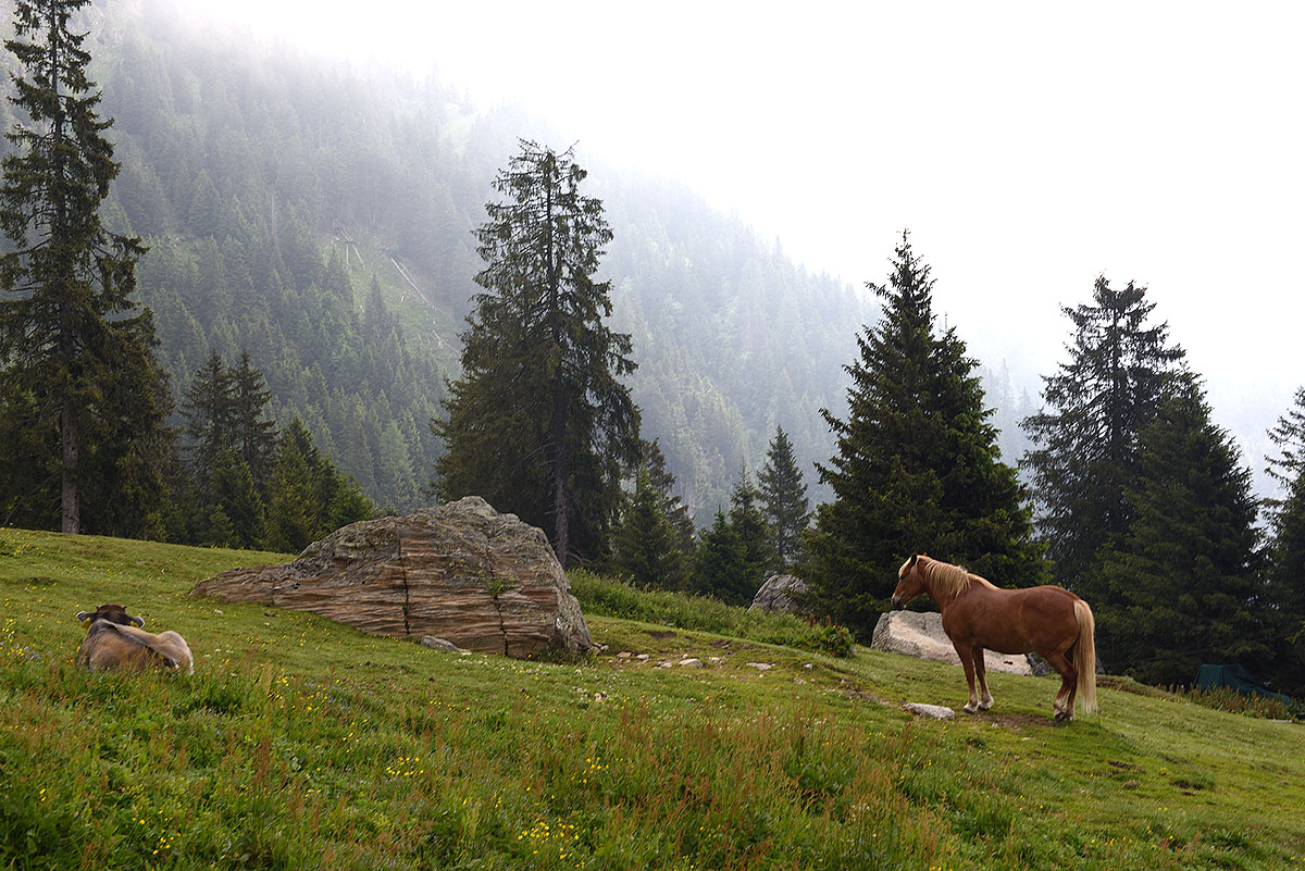 ../Escursioni2/Laghi_Sopranes/Sopranes_002906.jpg