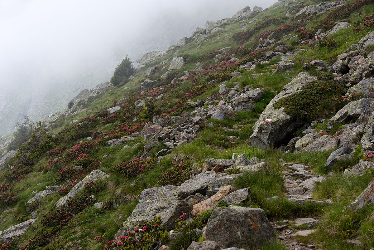 ../Escursioni2/Laghi_Sopranes/Sopranes_002934.jpg