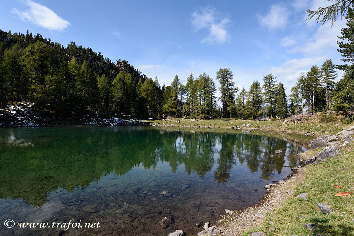 ../Escursioni2/Lago_Cirmoli/Cirmoli_003670bis.jpg