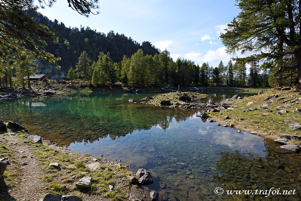 ../Escursioni2/Lago_Cirmoli/Cirmoli_003770bis.jpg