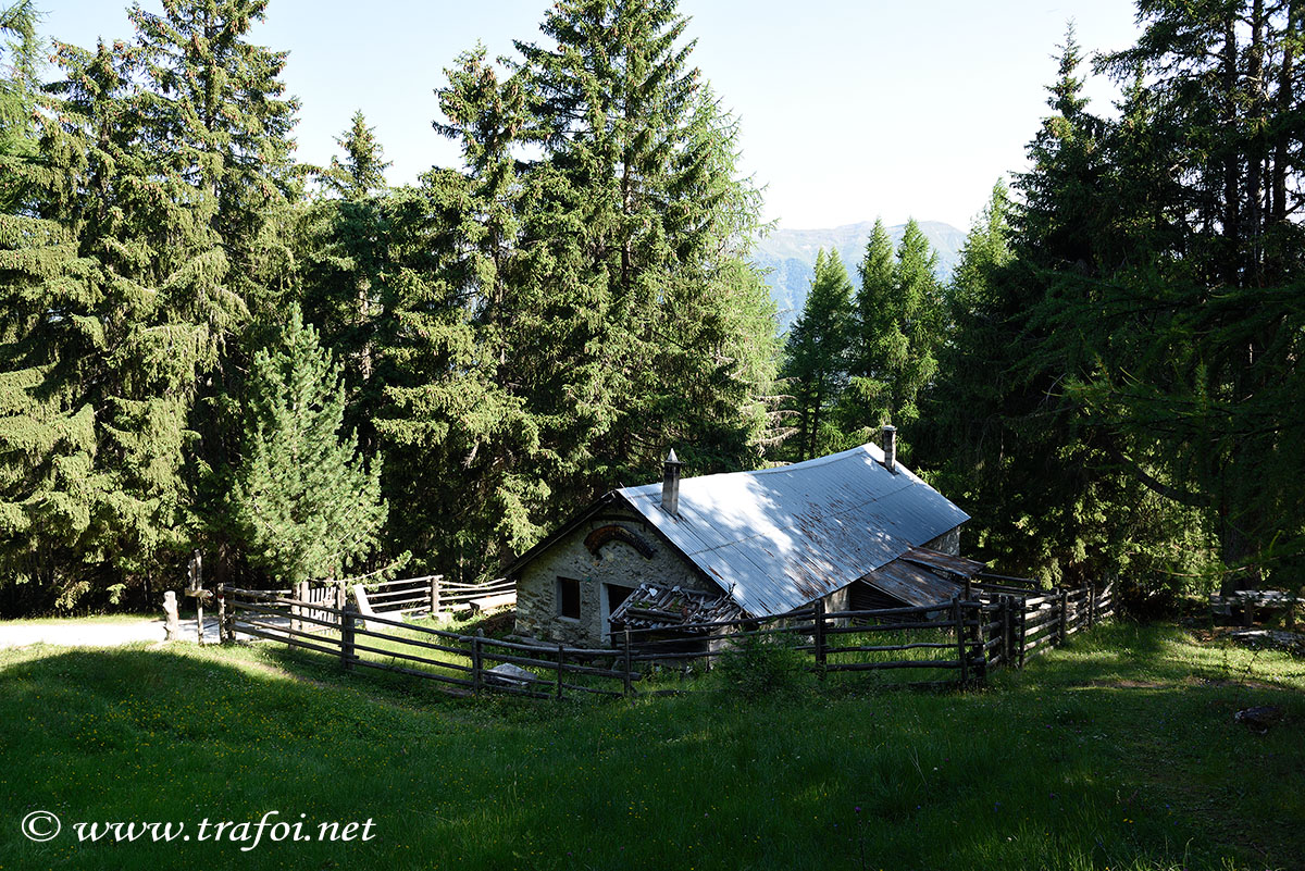 ../Escursioni2/Lago_Covelano/Covelano_004665.jpg