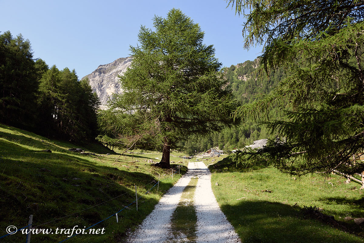 ../Escursioni2/Lago_Covelano/Covelano_004667.jpg