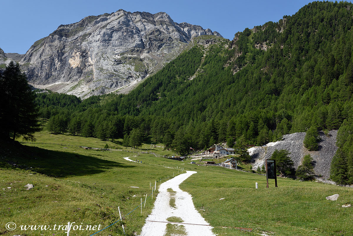 ../Escursioni2/Lago_Covelano/Covelano_004668.jpg