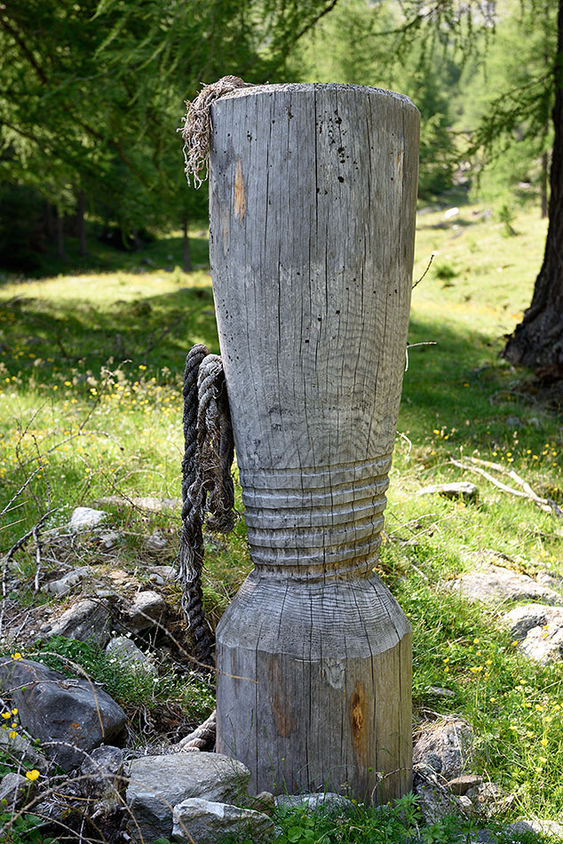 ../Escursioni2/Lago_Covelano/Covelano_004717.jpg