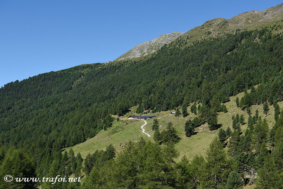 Malga Mazia