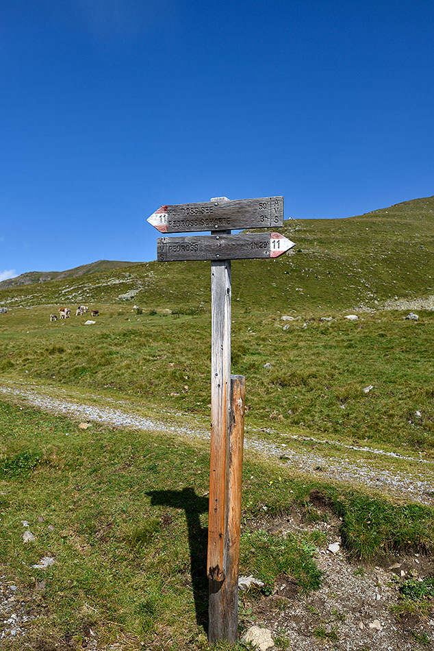 ../Escursioni2/Lago_Pedrossi/010078_D750.jpg