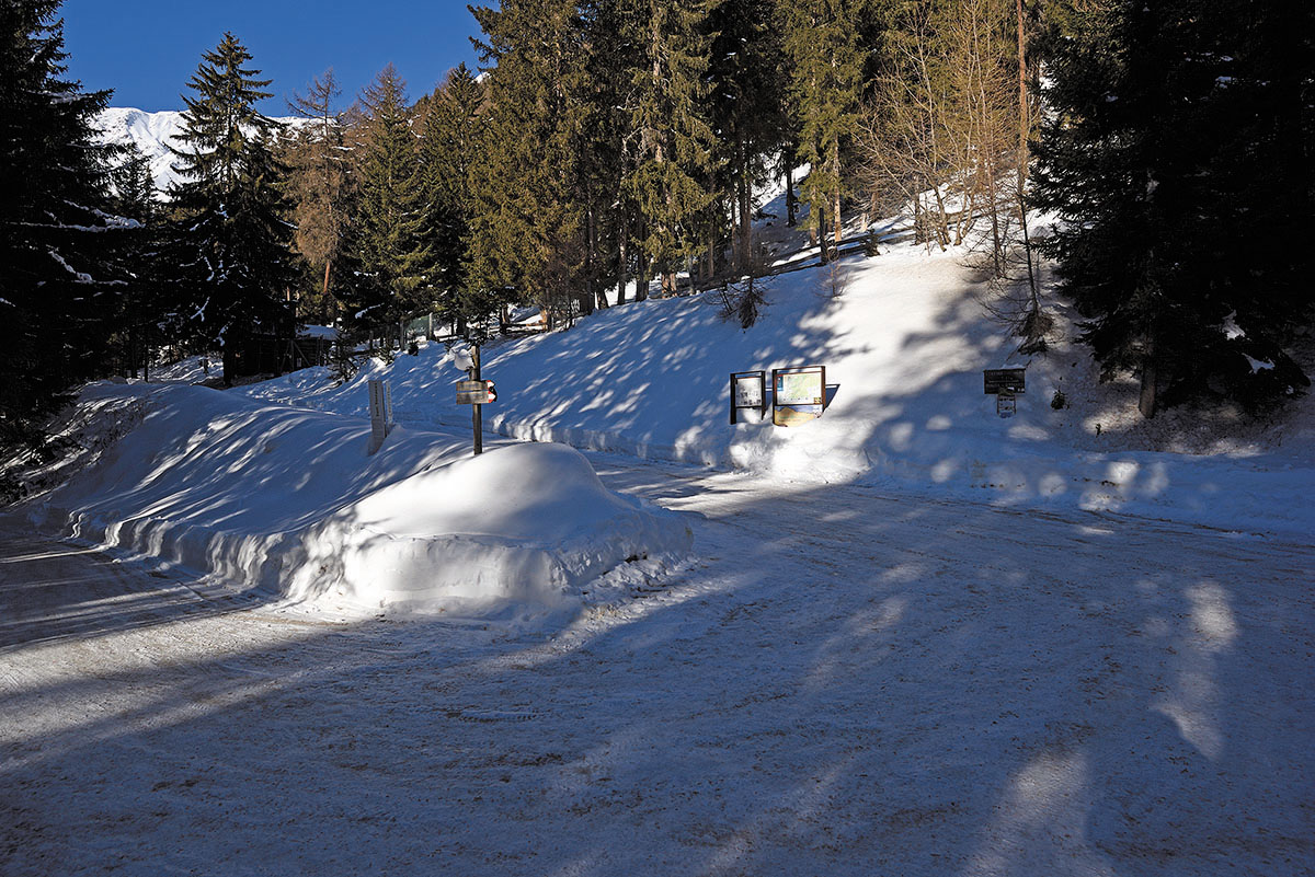 ../Escursioni2/Malga_Prato/010760_D750.jpg