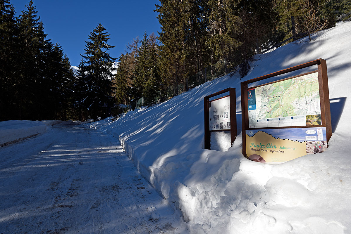 ../Escursioni2/Malga_Prato/010761_D750.jpg