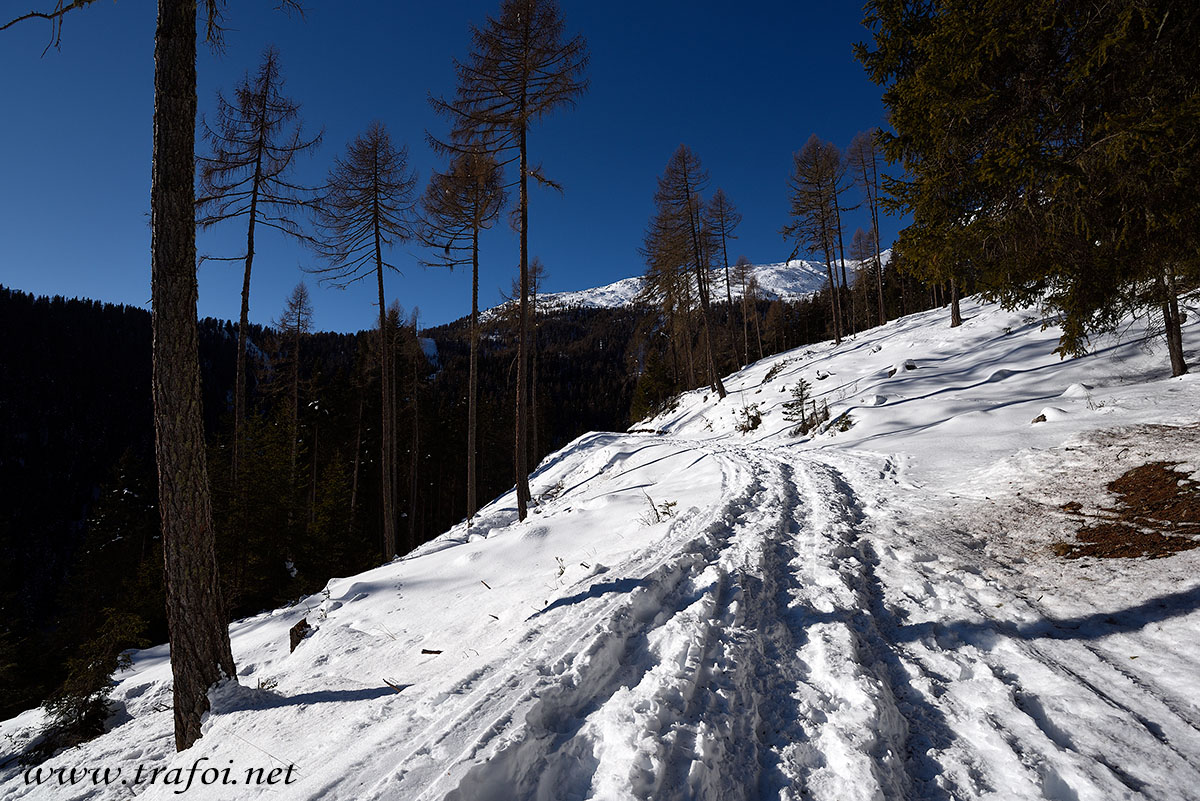 ../Escursioni2/Malga_Prato/010763_D750.jpg