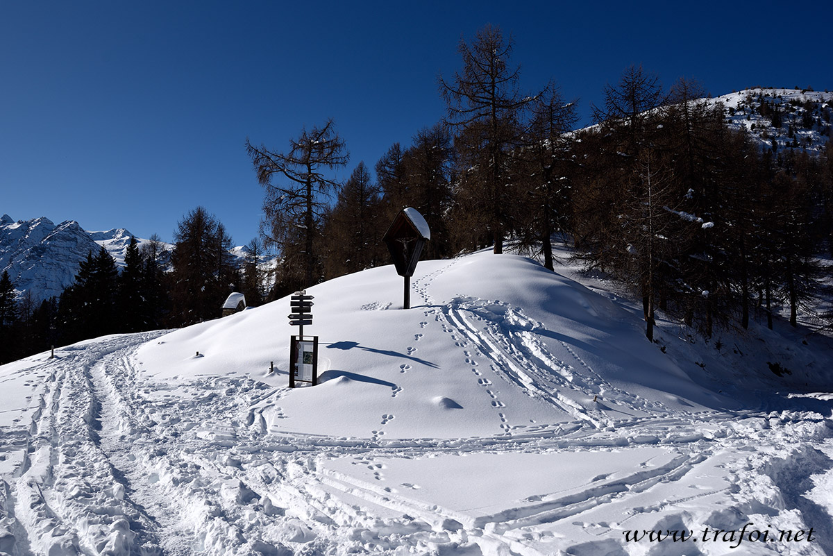 ../Escursioni2/Malga_Prato/010764_D750.jpg