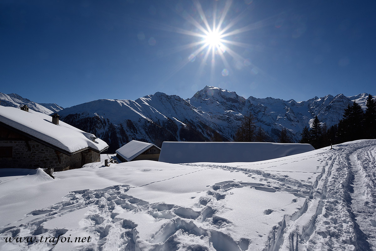../Escursioni2/Malga_Prato/010766_D750.jpg