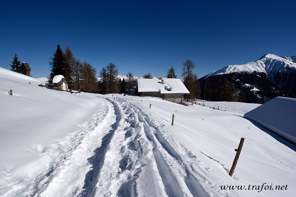 ../Escursioni2/Malga_Prato/010770_D750.jpg