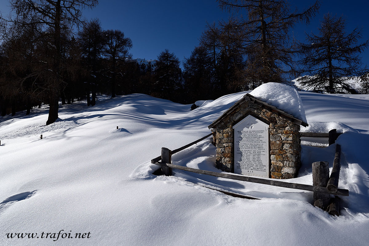 ../Escursioni2/Malga_Prato/010790_D750.jpg