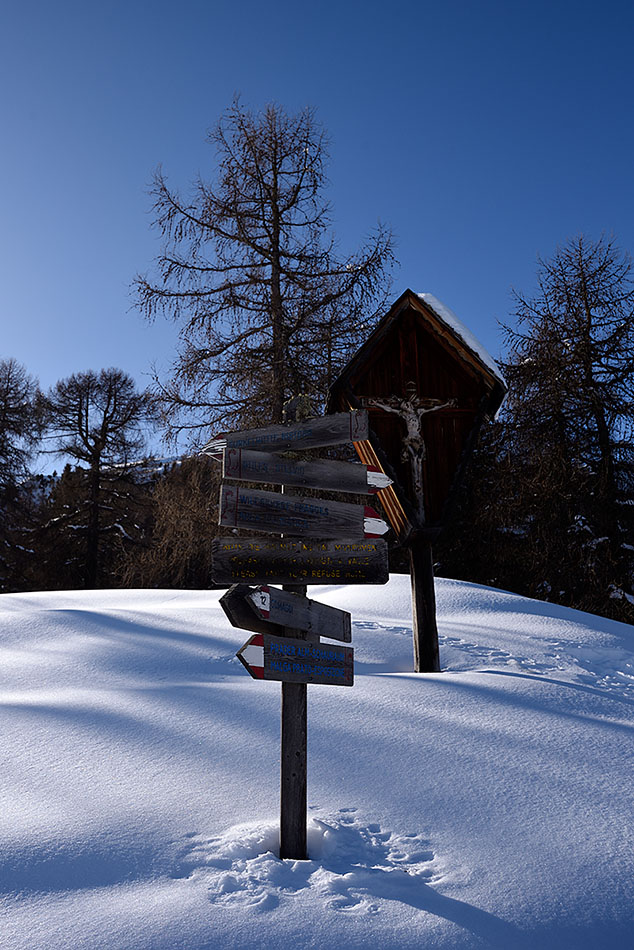 ../Escursioni2/Malga_Prato/010792_D750.jpg