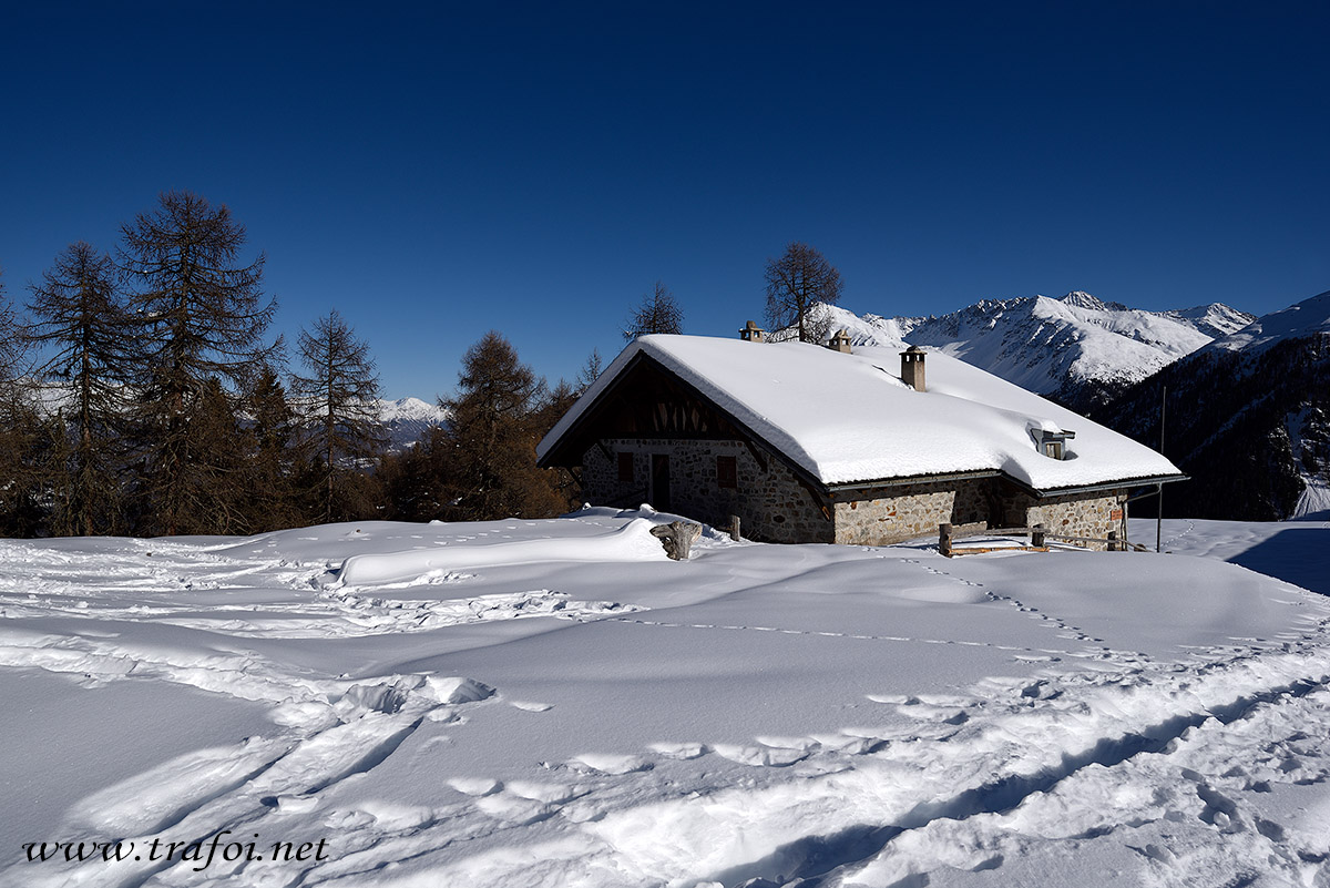 ../Escursioni2/Malga_Prato/010793_D750.jpg