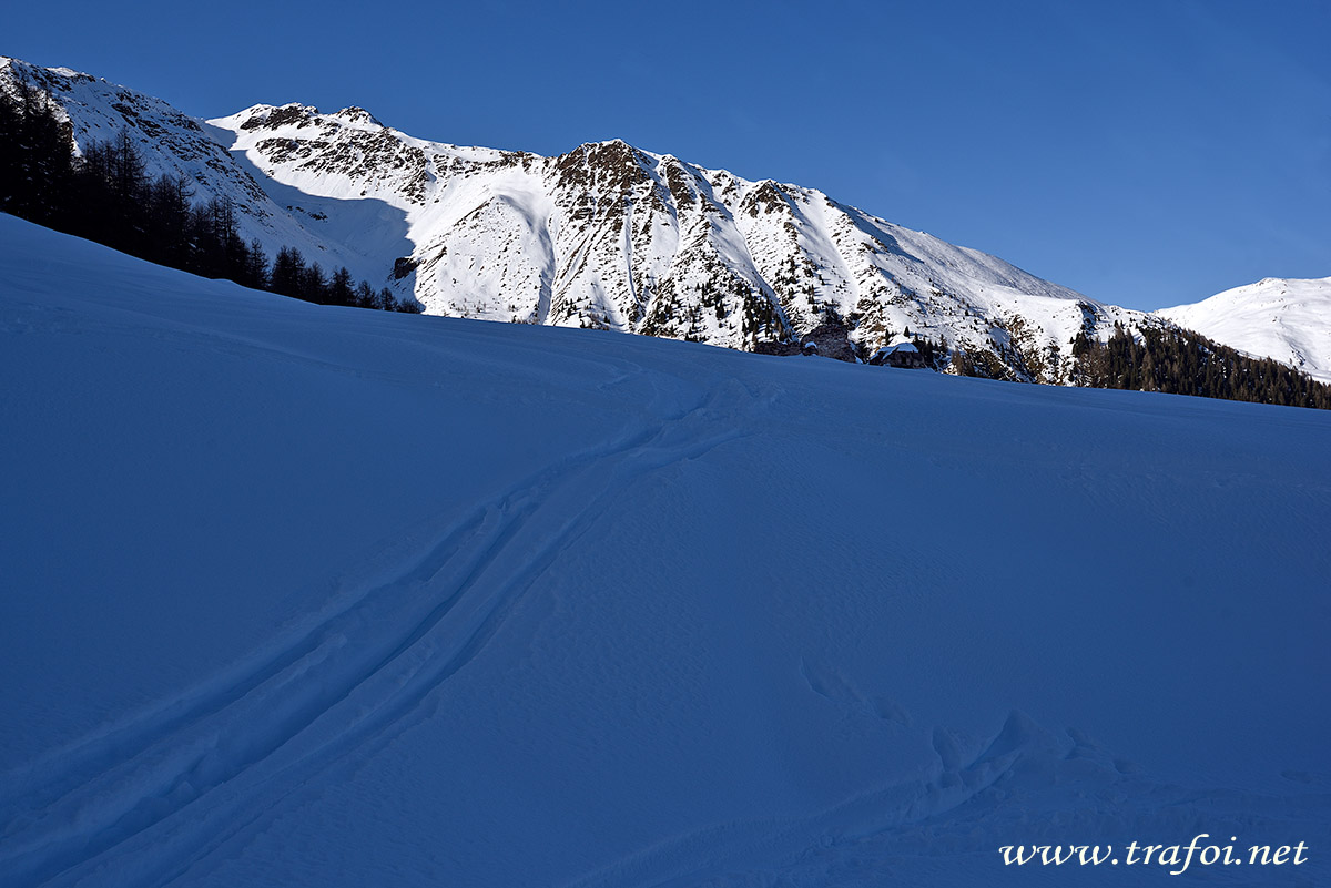 ../Escursioni2/Malga_Prato/010798_D750.jpg