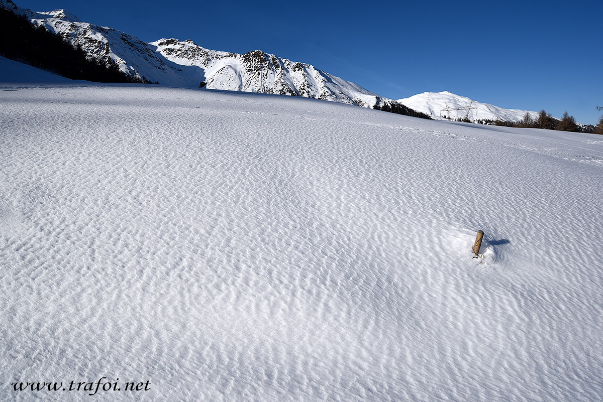 ../Escursioni2/Malga_Prato/010799_D750.jpg