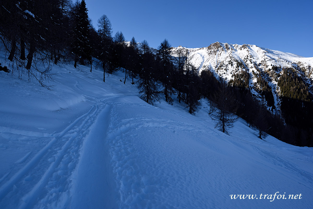 ../Escursioni2/Malga_Prato/010800_D750.jpg