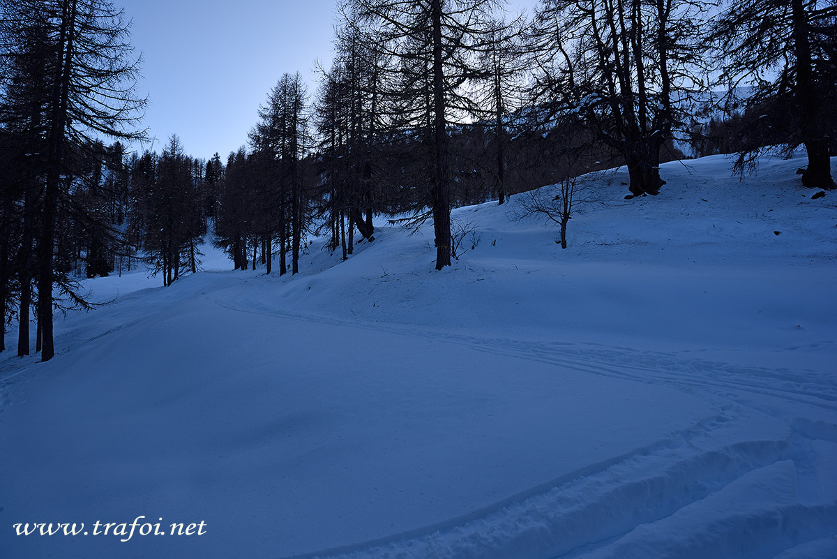 ../Escursioni2/Malga_Prato/010803_D750.jpg