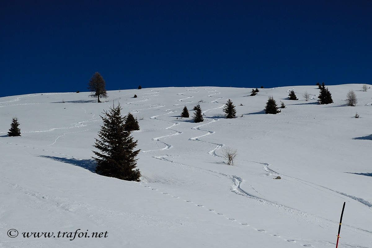 ../Escursioni2/Malga_Prato/2713bis.jpg