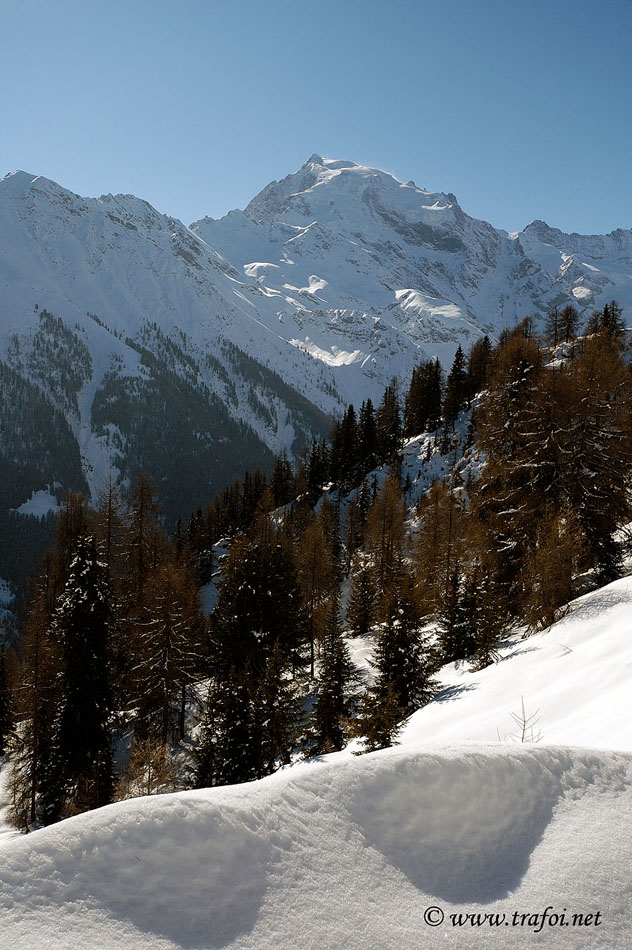 ../Escursioni2/Malga_Prato/2727.jpg