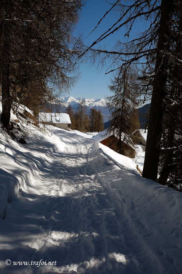 ../Escursioni2/Malga_Prato/2729.jpg
