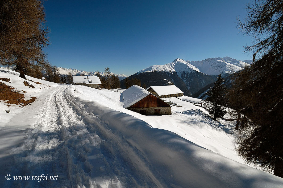 ../Escursioni2/Malga_Prato/2731bis.jpg