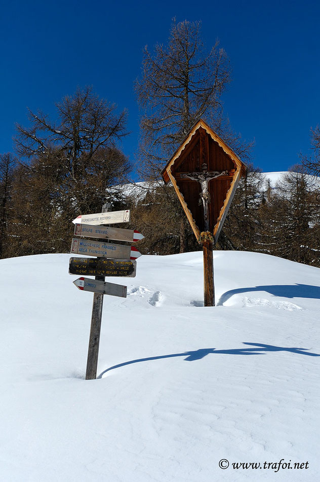 ../Escursioni2/Malga_Prato/2732.jpg