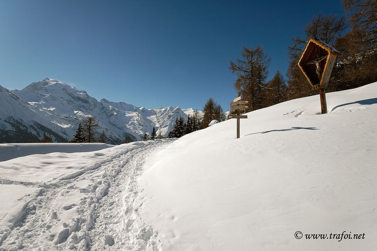 ../Escursioni2/Malga_Prato/2733bis.jpg