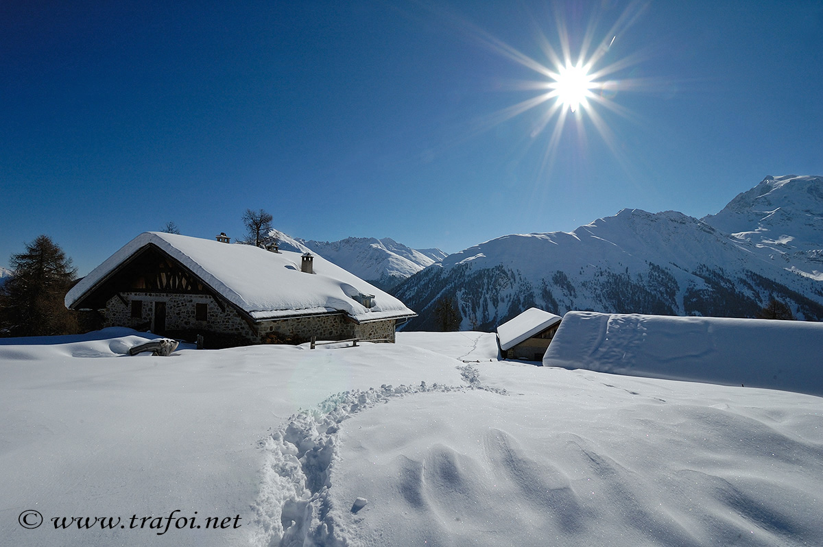 ../Escursioni2/Malga_Prato/2734bis.jpg